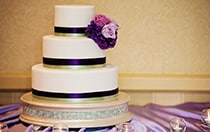 Escape Collection Cakes