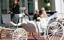 A bride and 2 men riding in a horse drawn carriage