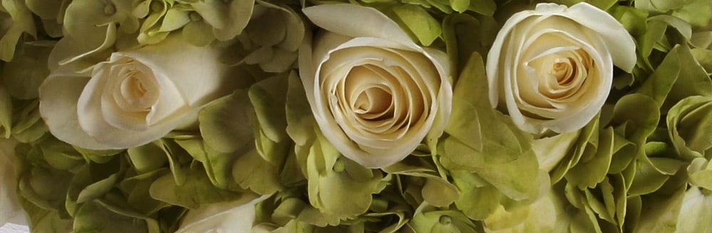 A bouquet of roses