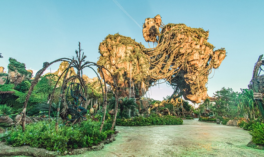Pandora World of Avatar | Florida Weddings | Disney's Fairy Tale Weddings
