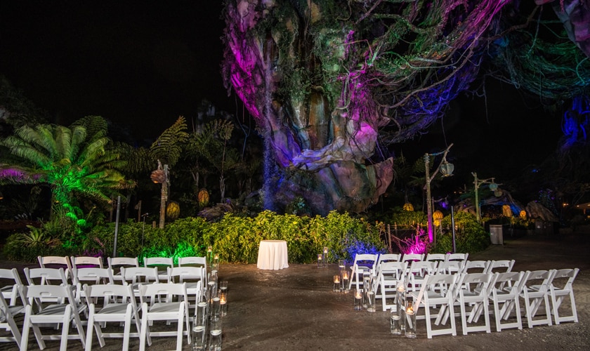 Amfibiekøretøjer Fejde Overleve Pandora World of Avatar | Florida Weddings | Disney's Fairy Tale Weddings
