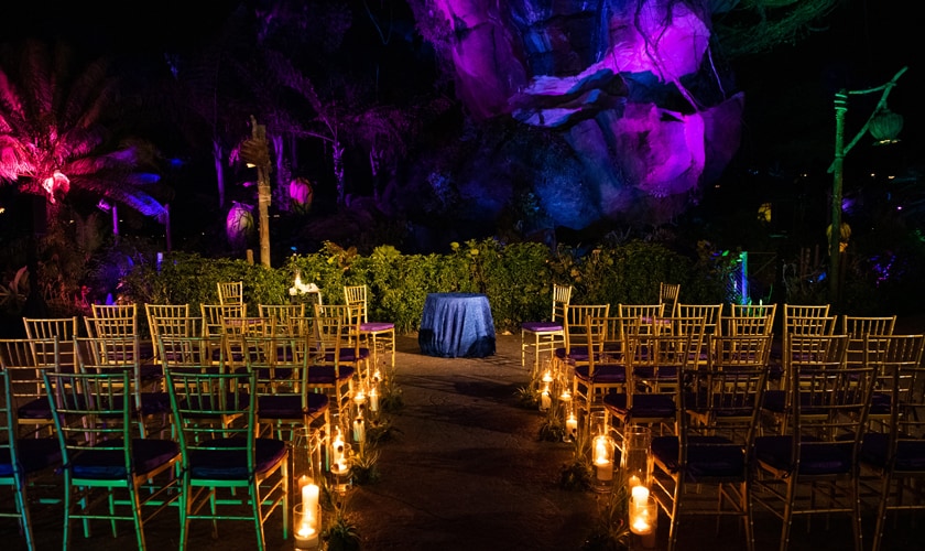 Avatar inspired wedding  Zen wedding Movie themed party Avatar theme