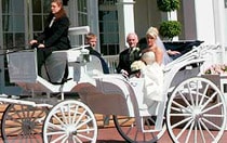 Horse Drawn Landau Coach