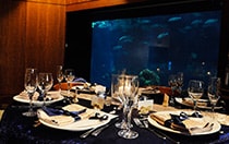 Living Seas Salon