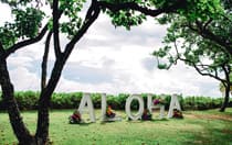 Large marquee letters featuring the word aloha with lights and tropical floral arrangements in a garden