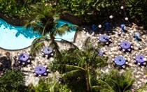 Wailana Pool