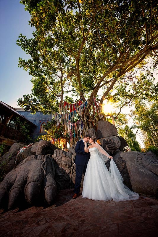 Portrait Session Disney�s Animal Kingdom Disney Weddings