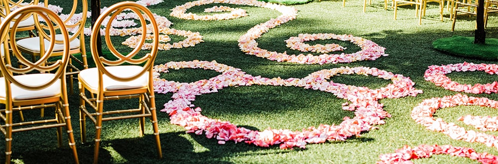 Rose petals are scattered in spirals and Mickey Mouse shapes on a lawn