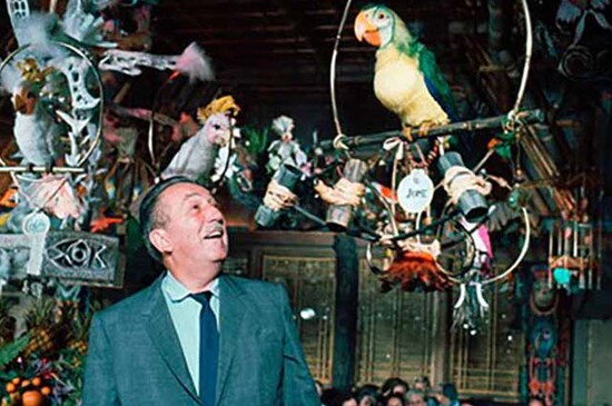 Summit Series Disney Institute